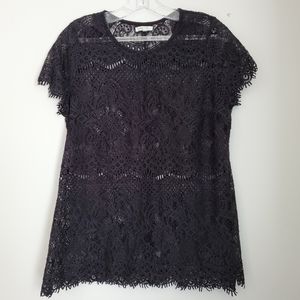 Lace Scallop Hem Sheer Blouse